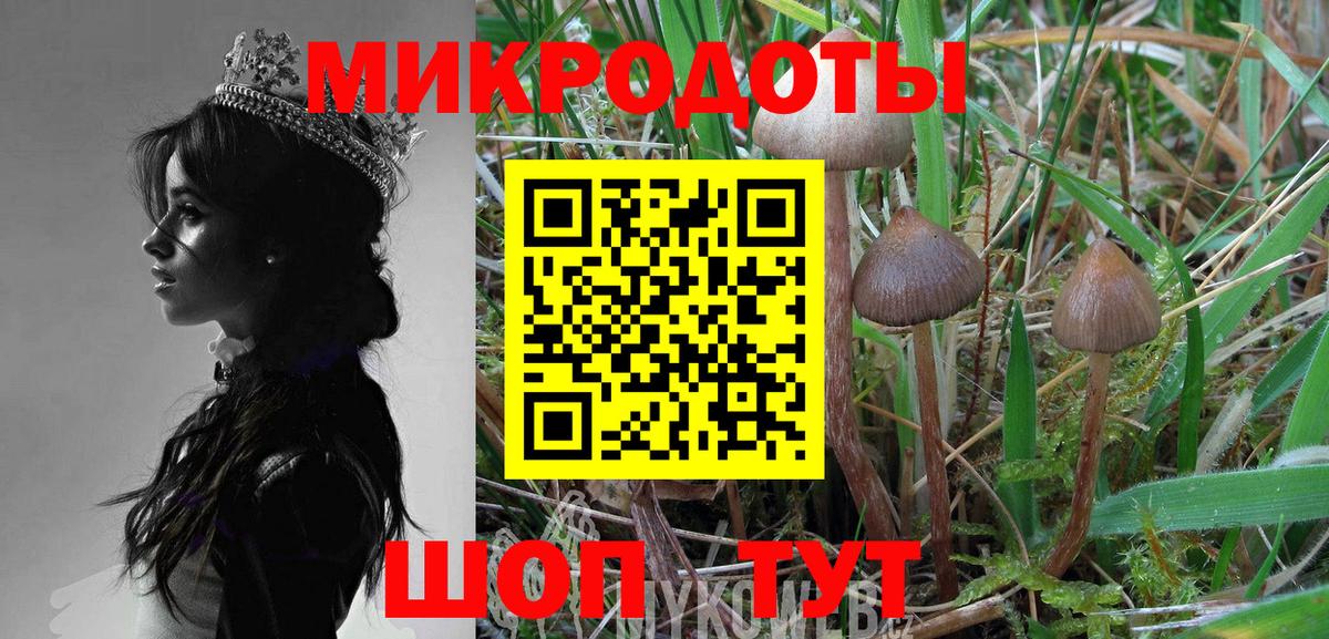 Псилоцибиновые грибы Magic Shrooms  Галлюциногенные грибы GOLDEN TEACHER  Абинск  купить  цена  Вход с VPN 